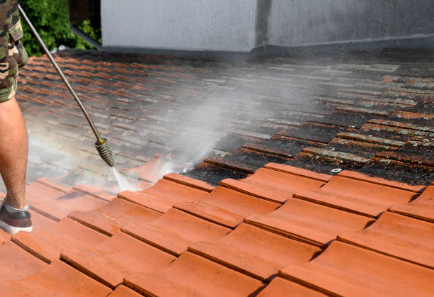 Best Roof Pressure Washing  in Mohnton, PA